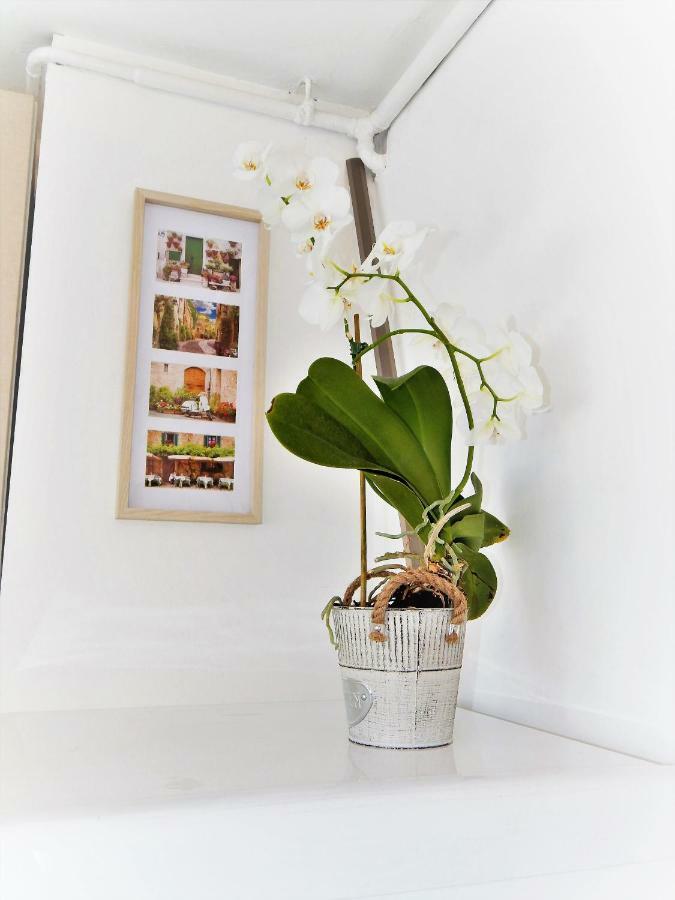 Studio Apartman Tvrtko Varazdin Ngoại thất bức ảnh